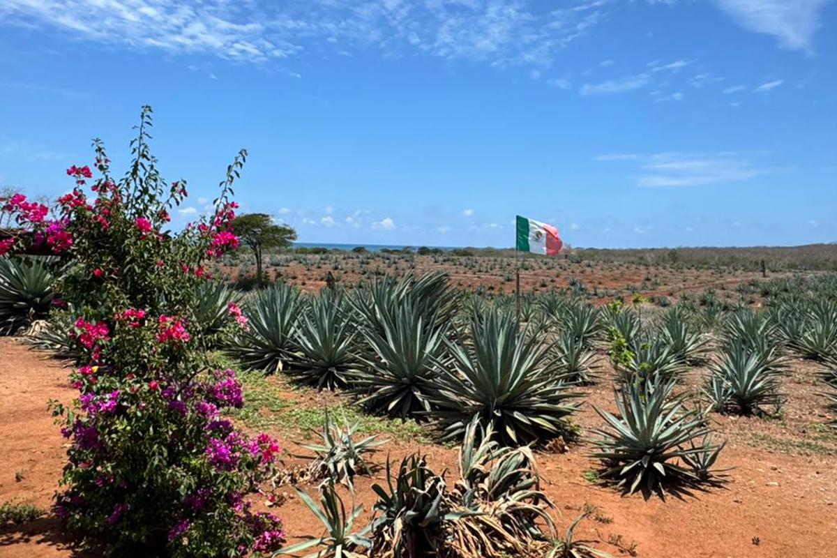 Galería del rancho 3