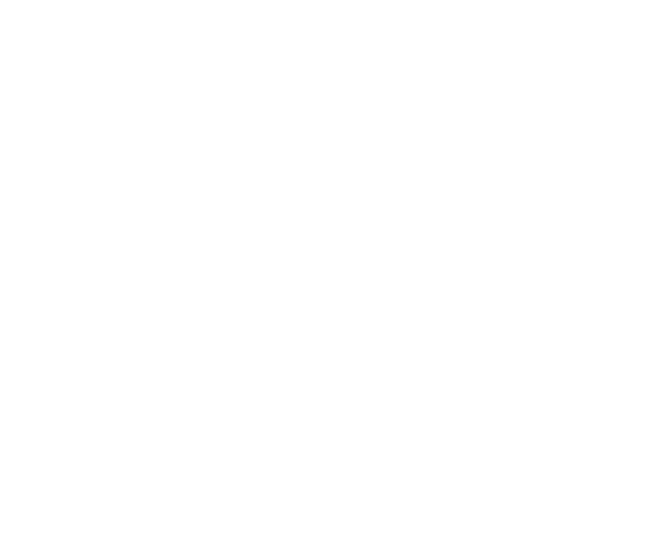 Rancho Mr. Lionso