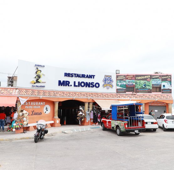 mrlionso